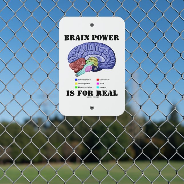 Brain Power Is For Real Brain Anatomy Attitude Metal Sign (In Situ(Fence))