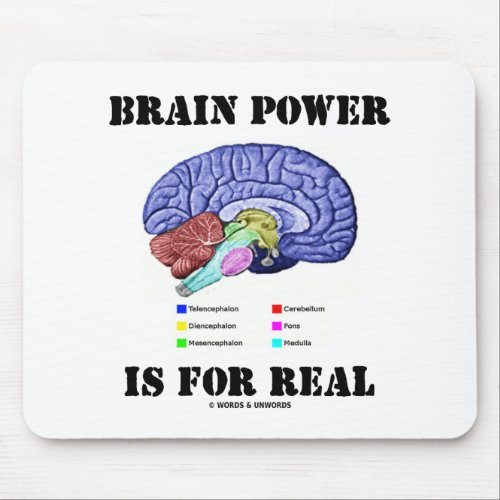Brain Power Is For Real Brain Anatomy Attitude Mouse Pad