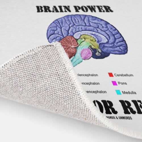 Brain Power Is For Real Brain Anatomy Attitude Rug