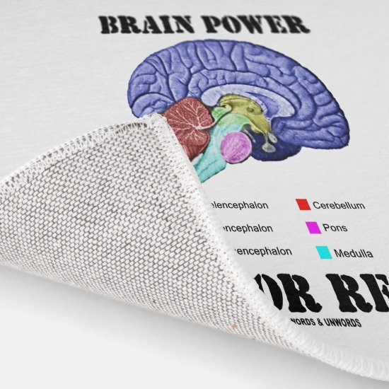 Brain Power Is For Real Brain Anatomy Attitude Rug