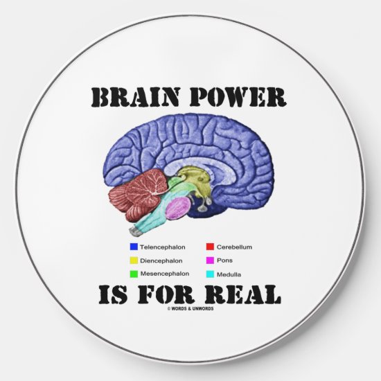 Brain Power Is For Real Brain Anatomy Attitude Wireless Charger