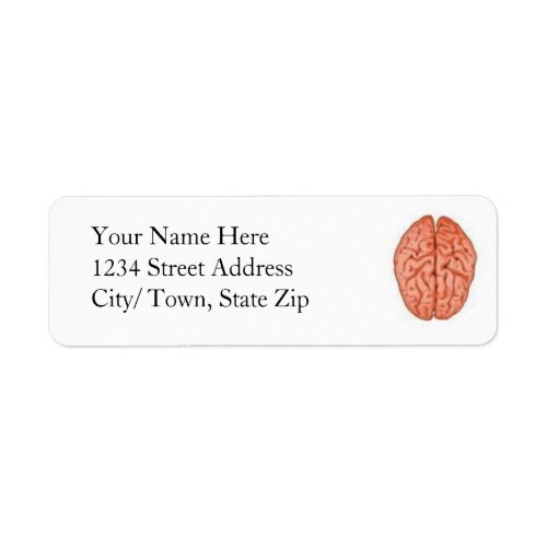 Brain Return Labels