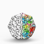 brain series award<br><div class="desc">Crazy brain series.</div>