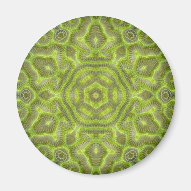 Brain Star Trilobite Magnet (Front)