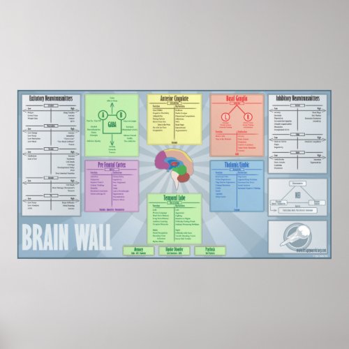 Brain Wall Poster