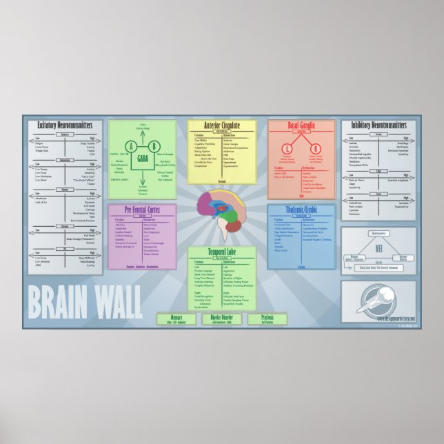 Brain Wall Poster (Front)