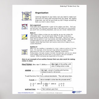Brainology® Poster4: Organization Poster