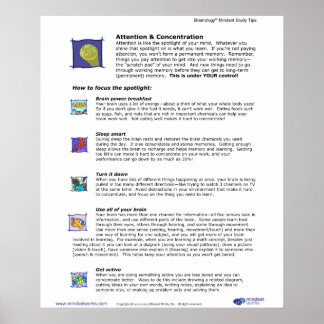 Brainology® Poster 3: Attention and Concentration