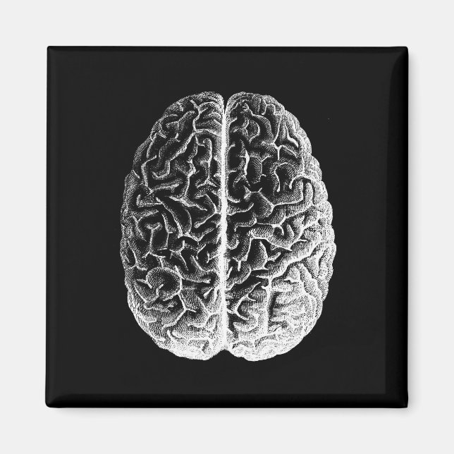 Brains! Magnet (Front)