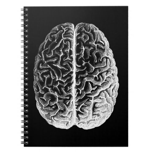 Brains Notebook