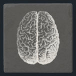 Brains! Stone Coaster<br><div class="desc">A modified version of a vintage scientific illustration of the human brain</div>