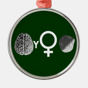 Brainy Girls Rock! Metal Ornament