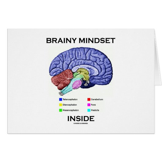 Brainy Mindset Inside (Anatomical Brain) Cards (Front Horizontal)
