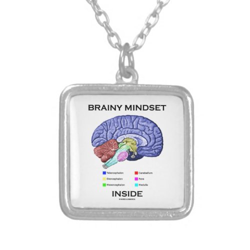 Brainy Mindset Inside Anatomical Brain Silver Plated Necklace