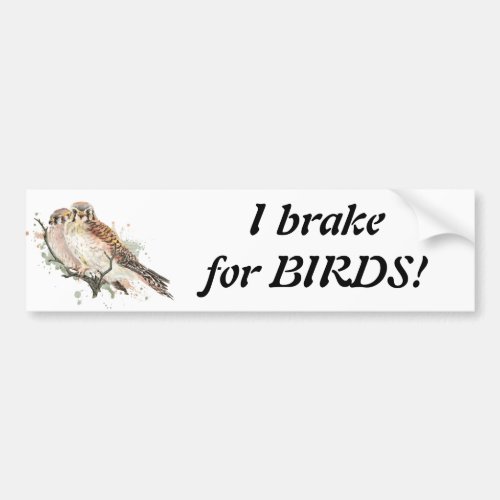 Brake for Birds Quote Birding Kestrel Couple Bumper Sticker