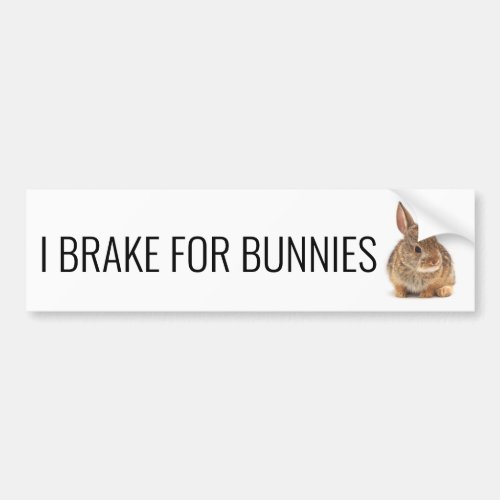 Brake for Bunnies Bumper Sticker