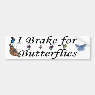 brake for butterflies bumper sticker