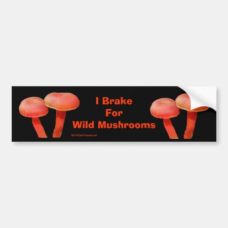 Brake For Mushrooms Funny Nature Bumper Sticker