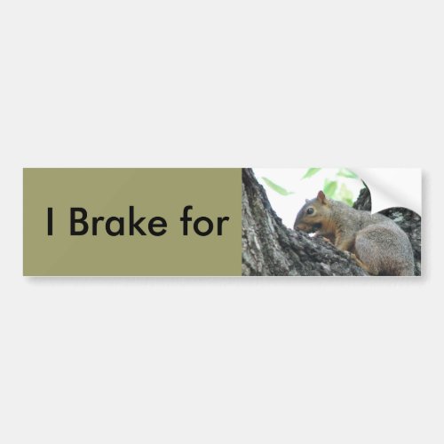 Brake for Squirrels Bumper Sticker