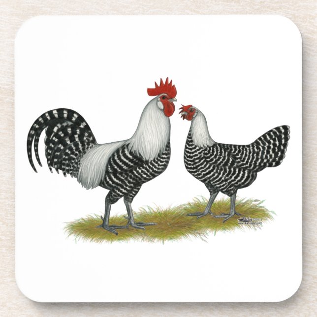 Brakel Chickens Beverage Coaster (Front)