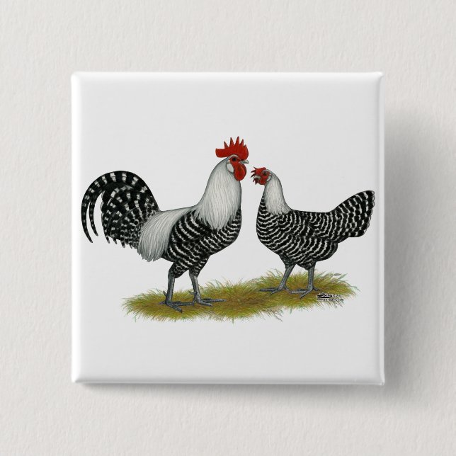 Brakel Chickens Button (Front)