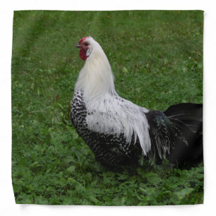 Brakel Hahn Bandana