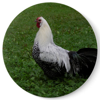 Brakel Hahn Button
