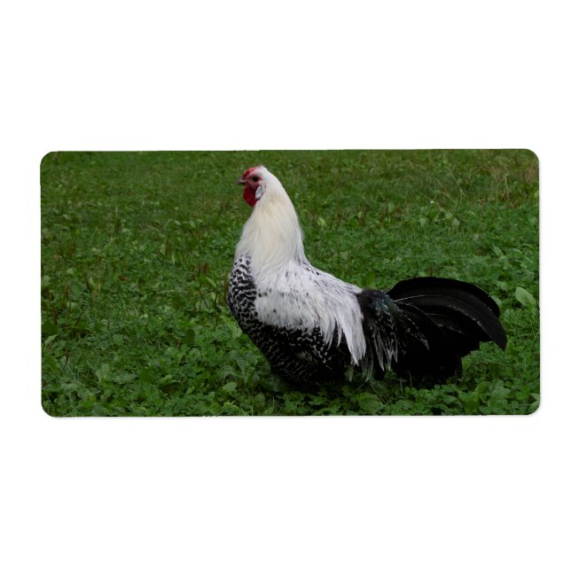 Brakel Hahn Label (Front)