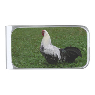 Brakel Hahn Silver Finish Money Clip