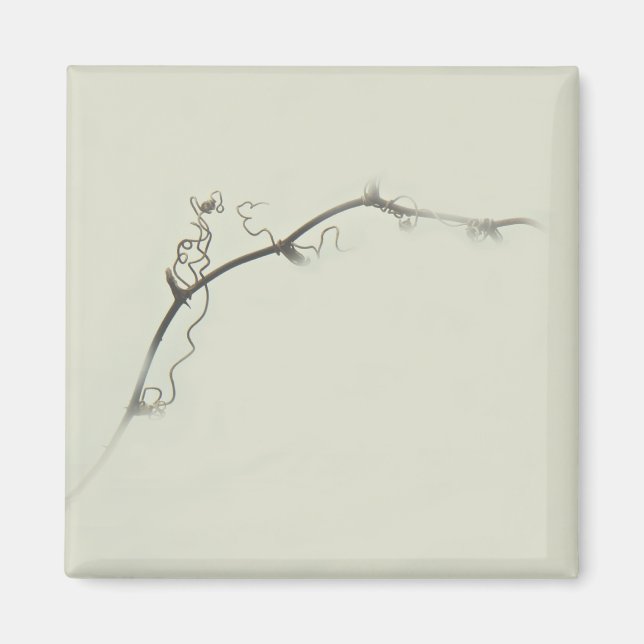 Bramble Tendrils in the Fog - Minimalism Magnet (Front)