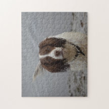 'Bramble the Spaniel' Jigsaw