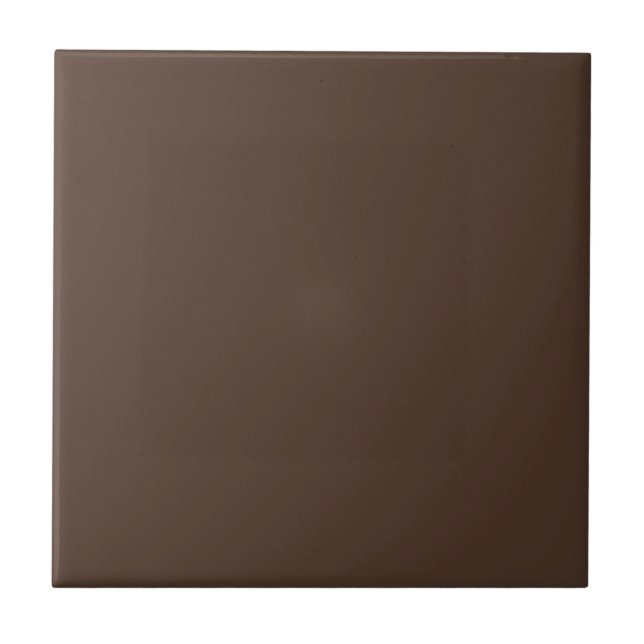 Brambly Bush Brown Square Kitchen and Bathroom Ceramic Tile (Front)