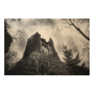 Bran Castle (Dracula) Wood Wall Art