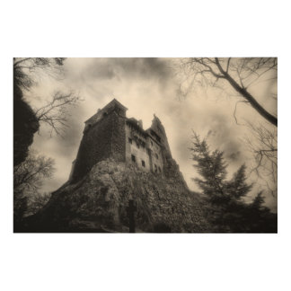 Bran Castle (Dracula) Wood Wall Art
