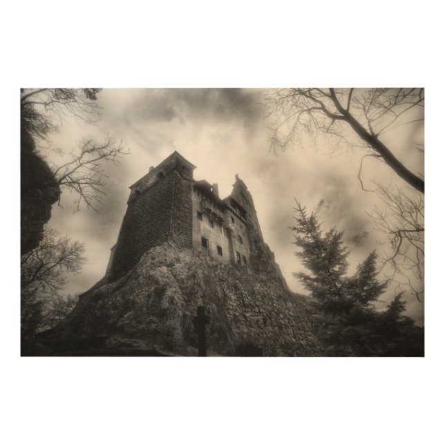 Bran Castle (Dracula) Wood Wall Art (Front)
