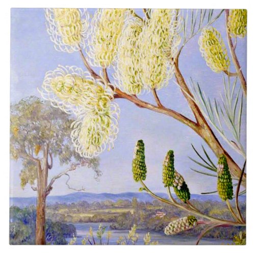 Branch of a Grevillea and View on the Swan River C Ceramic Tile
