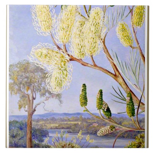 Branch of a Grevillea and View on the Swan River Ceramic Tile