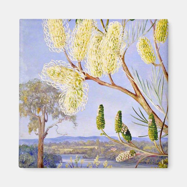 Branch of a Grevillea and View on the Swan River, Magnet (Front)