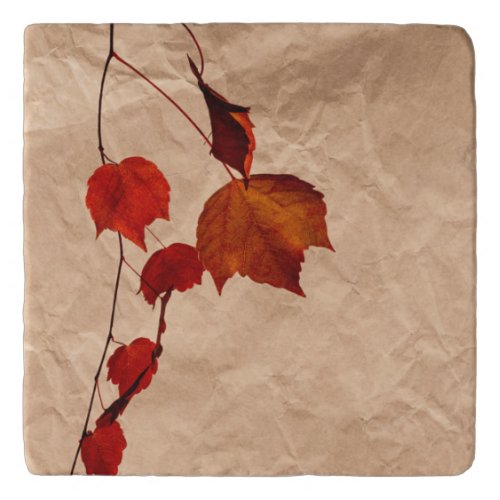 branch of autumnal tree canvas print trivet