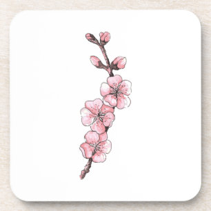 Branch of blossoming apricots. Watercolor sketch. Beverage Coaster