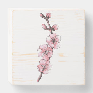 Branch of blossoming apricots. Watercolor sketch. Wooden Box Sign