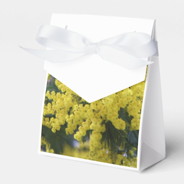 Branch of mimosa favor boxes (Front Side)