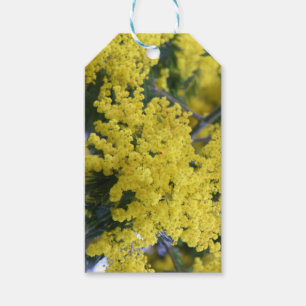 Branch of mimosa gift tags