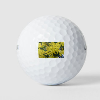 Branch of mimosa golf balls