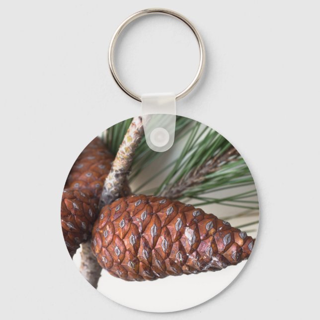 Branch of pine with the pinecone keychain (Front)