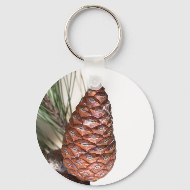 Branch of pine with the pinecone keychain (Front)