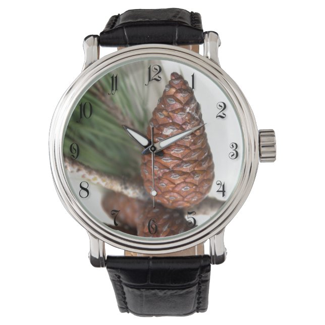 Branch of pine with the pinecones watch (Front)