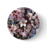 Branch of Pink Blossoms Spring Floral Button