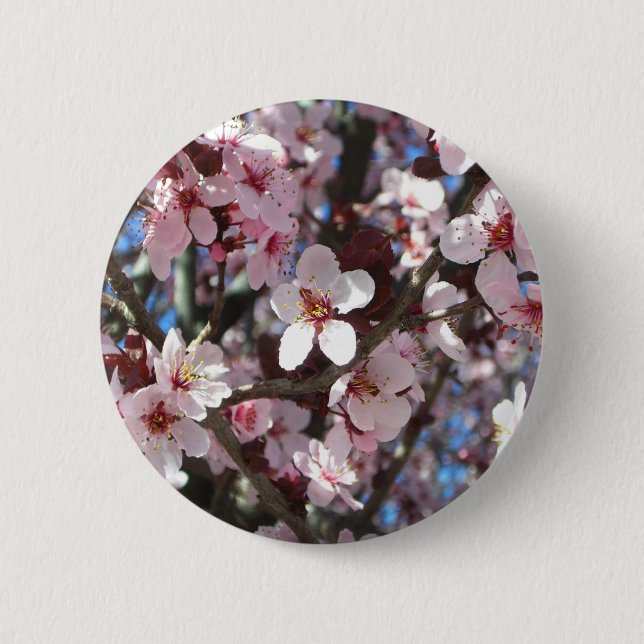 Branch of Pink Blossoms Spring Floral Button (Front)