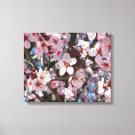 Branch of Pink Blossoms Spring Floral Canvas Print